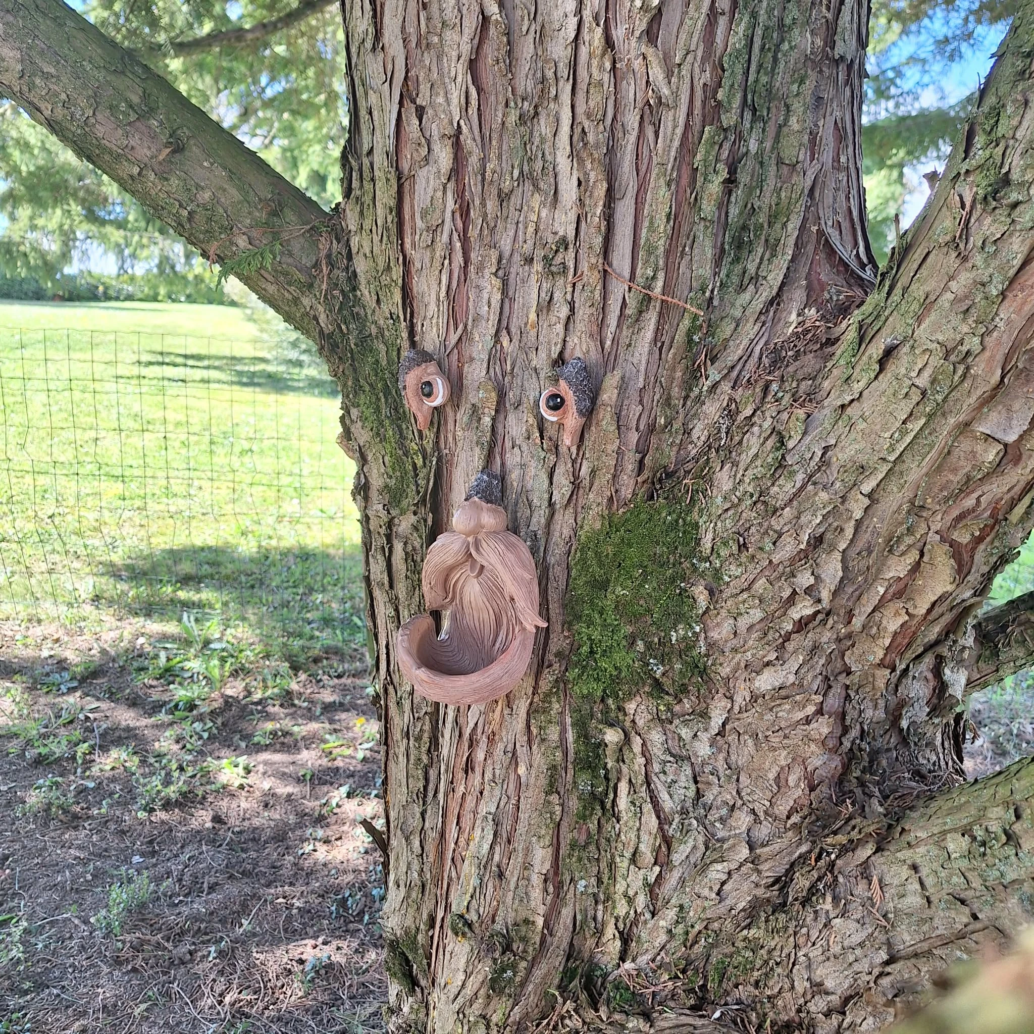 Vogelvoeder voor betoverde bomen – photo 3